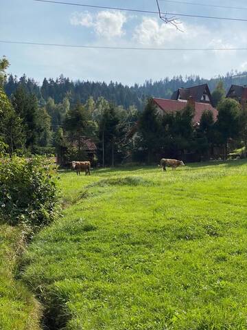 Фото Фермерские дома Agroturystyka u Beaty Dom II г. Корбелюв 3